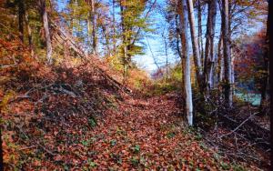 Urejanje poti Speca lepotica, foto I Zaplotnik in O Skarja (10)